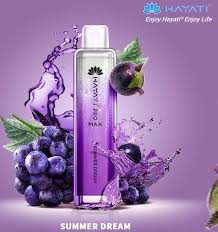 HAYATI PRO MAX 4000 PUFFS AT BEST PRICE - MrVapora.pk