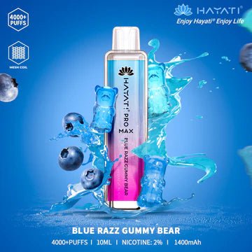 HAYATI PRO MAX 4000 PUFFS AT BEST PRICE